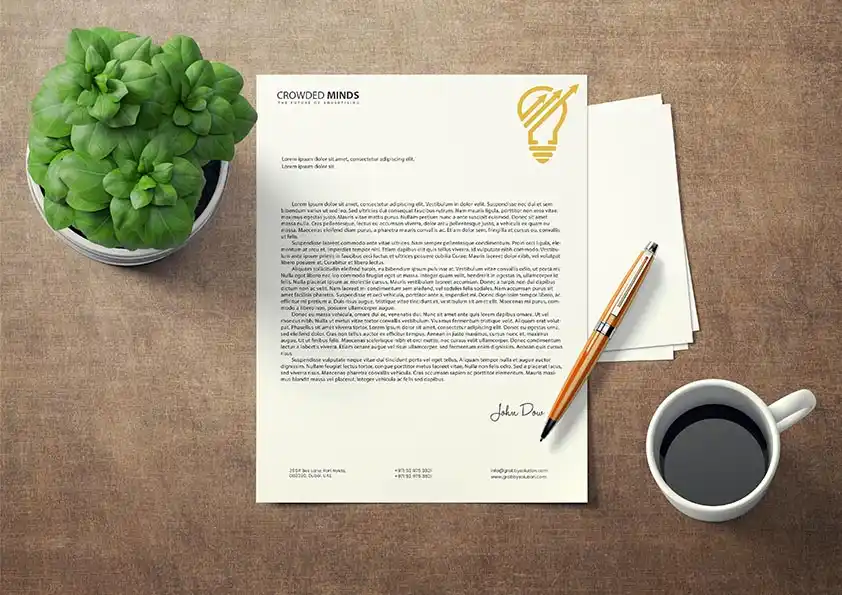 Branding Design Portfolio - 105
